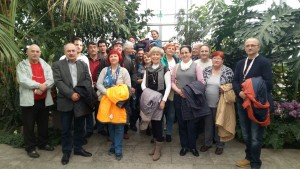 20160319_101315_resized_1